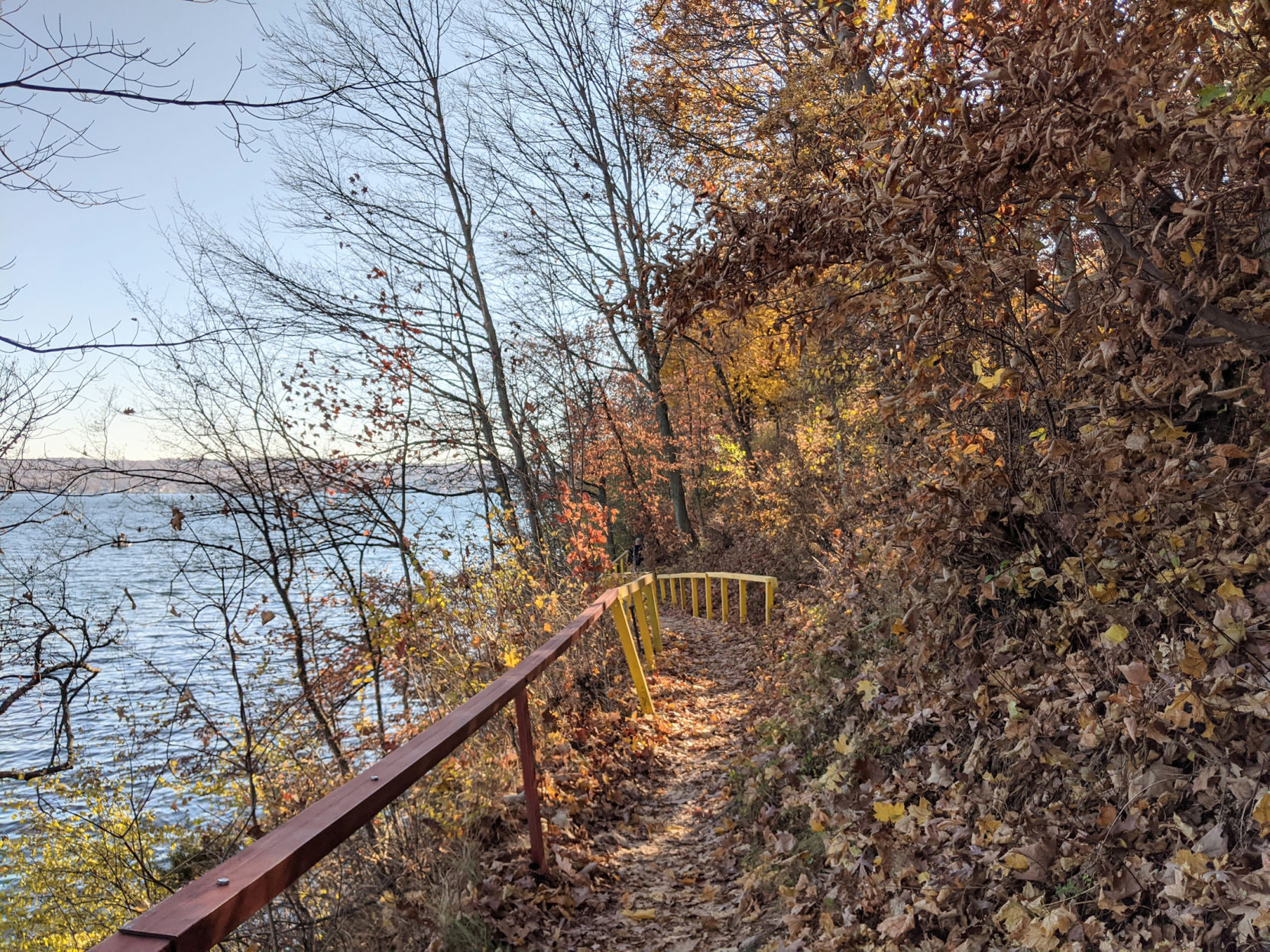 Lake Geneva path wild area.jpg